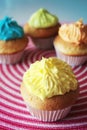 Colorful cupcakes Royalty Free Stock Photo
