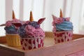 Colorful cupcakes on blur background Royalty Free Stock Photo