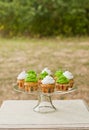 Colorful cupcakes sweets for party Royalty Free Stock Photo