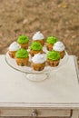 Colorful cupcakes sweets for party Royalty Free Stock Photo