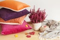 Colorful cushions throw cozy home autumn mood flower Royalty Free Stock Photo