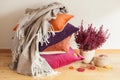 Colorful cushions throw cozy home autumn mood flower leaf Royalty Free Stock Photo