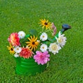 Colorful cut flowers in a watering can Royalty Free Stock Photo