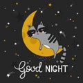 Colorful cute background with sleeping raccoon, moon, stars and english text. Good night