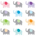 Colorful Cute Elephant