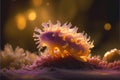 Colorful cute nudibranch sea slug strange marine life