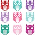 Colorful Cute Owl Silhouette Collections Royalty Free Stock Photo