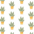 Colorful cute seamless pattern with pastel colored flowerpots, flowers, pots, potted plants