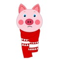 Colorful cute vector pig face in a winter scarf. One object on a white background. Cartoon flat illustration. Emoji Royalty Free Stock Photo