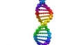Colorful 3D Rendered DNA Double Helix Model with Rainbow Gradient on White Background genetics science Royalty Free Stock Photo