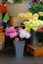 Colorful dahlias in metal vases Royalty Free Stock Photo