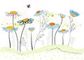 Colorful daisy field in spring time vector illustration Royalty Free Stock Photo