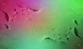 Colorful damaged foam paper texture for background or design. Royalty Free Stock Photo