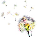 Colorful dandelion with flying seeds