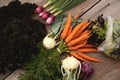 Colorful and Dark Display of Beautiful Fresh Organic and Sustainably Grown Vegetables From Local Farm