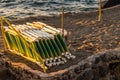 Colorful deckchairs on the beach