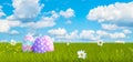 Colorful Decorated Easter Eggs on Green Meadow with Beautiful Blue Sky Clouds Background 3d render Royalty Free Stock Photo