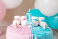 Colorful decoration of a first year birthday cake for twins. Happy birthday. White, pink, blue colors