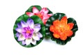 Colorful decoration flowers