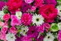 Colorful decorative flowers Royalty Free Stock Photo