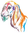 Colorful decorative portrait of Dog Saluki vector illustration