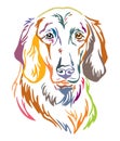 Colorful decorative portrait of Longhaired Weimaraner vector illustration