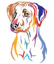 Colorful decorative portrait of Rhodesian Ridgeback Dog vector illustration Royalty Free Stock Photo