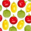 Colorful decorative pattern from tomato varied sort