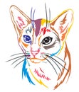 Colorful decorative portrait of Abyssinian Cat vector illustration
