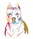 Colorful decorative portrait of American Staffordshire Terrier 2 vector illustration