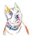 Colorful decorative portrait of American Staffordshire Terrier 3 vector illustration