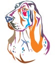 Colorful Decorative Portrait Of Basset Hound Vector Illustration