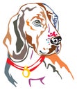 Colorful decorative portrait of Beagle vector illustration