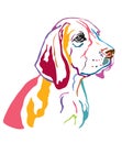 Colorful decorative portrait of Beagle vector illustration