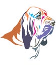 Colorful decorative portrait of Bloodhound vector illustration