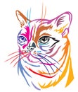 Colorful decorative portrait of Burmese Cat vector illustration