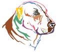 Colorful decorative portrait of Central Asian Shepherd Dog vector illustration Royalty Free Stock Photo