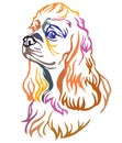 Colorful decorative portrait of Dog American Cocker Spaniel vector illustration Royalty Free Stock Photo