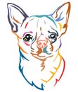 Colorful decorative portrait of Dog Chihuahua vector illustration