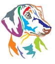 Colorful decorative portrait of Dog Dachshund vector illustratio