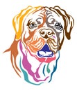 Colorful decorative portrait of Dog Dogue de Bordeaux vector ill