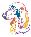 Colorful decorative portrait of Dog Irish Setter vector illustration Royalty Free Stock Photo