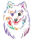 Colorful decorative portrait of Dog Japanese Spitz vector illustration