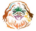 Colorful decorative portrait of Dog Pekingese vector illustration