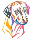 Colorful decorative portrait of Dog Rhodesian Ridgeback vector i