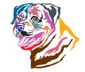Colorful decorative portrait of Dog Rottweiler vector illustration