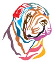 Colorful decorative portrait of Dog Shar Pei vector illustration Royalty Free Stock Photo