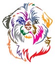 Colorful decorative portrait of Dog Shih Tzu vector illustration