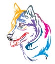 Colorful decorative portrait of Dog Siberian Husky vector illustration Royalty Free Stock Photo