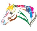 Colorful decorative portrait of horse vector illustration 9 Royalty Free Stock Photo